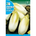 ENDIVIA, 10 GR