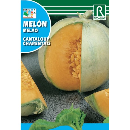 MELON CHARENTAIS BOLSITA