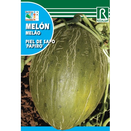 MELON PIEL DE SAPO, 25 GR