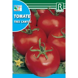 TOMATE TRES CANTOS BOLSITA