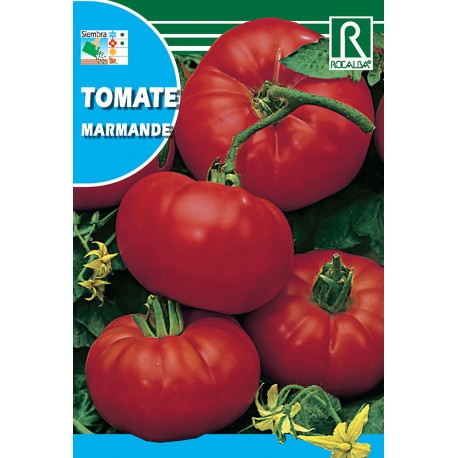 TOMATE MARMANDE BOLSITA